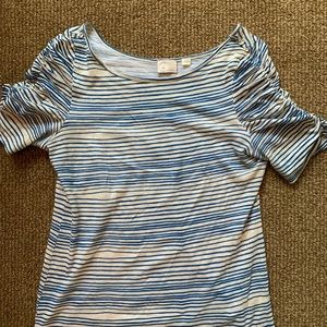 Anthropologie Stripe Ruffle Sleeve